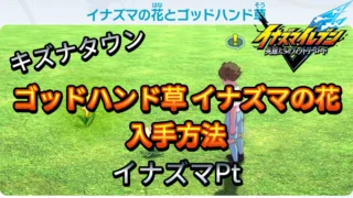 【イナイレV】ゴッドハンド草 イナズマの花 入手方法【攻略】